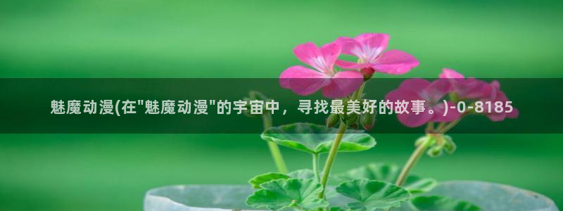风车动漫