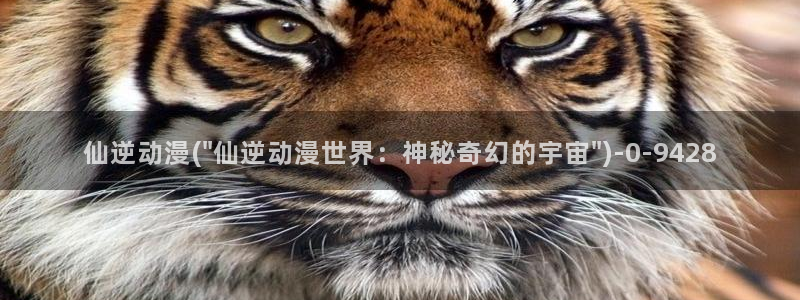 动漫照片