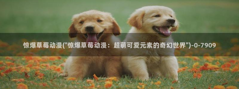 动漫免费在线观看