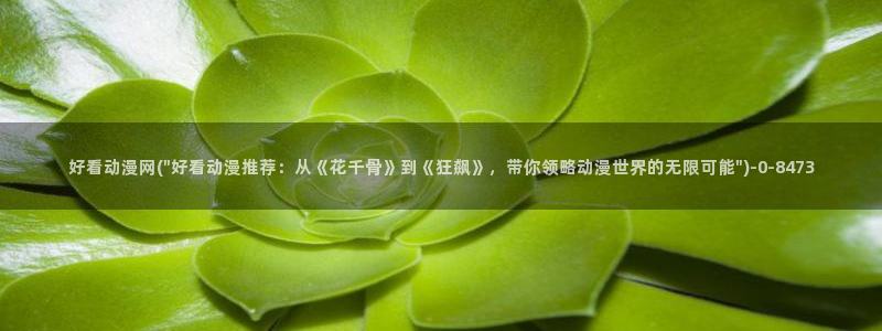 布米米动漫