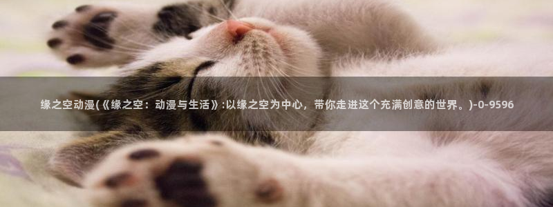没有钱动漫：缘之空动漫(《缘之空：动漫与生活》:以缘之空为中心，带你走进