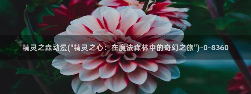 天马动漫：精灵之森动漫(\
