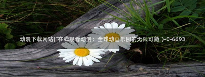 魔道祖师动漫